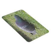 Magnet Flexible Aimant Premium Pigeon dormant (Côté Droit)