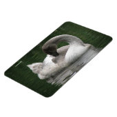 Magnet Flexible Aimant Premium pour cygne dormant (Côté Gauche)
