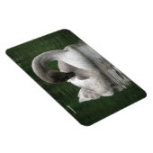 Magnet Flexible Aimant Premium pour cygne dormant (Côté Droit)