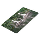 Magnet Flexible Aimant Premium Swan et Cygnets (Côté Gauche)