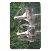 Magnet Flexible Aimant Premium Swan et Cygnets (Vertical)