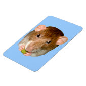 Magnet Flexible Aimant Rat Premium (Côté Gauche)