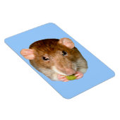 Magnet Flexible Aimant Rat Premium (Côté Droit)