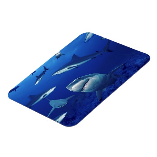 Magnet Flexible Aimant requins (Côté Gauche)