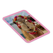 Magnet Flexible Aimant rose à mordant de Camel (Côté Droit)
