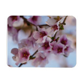 Magnet Flexible Aimant rose en fleur de cerisier (Horizontal)