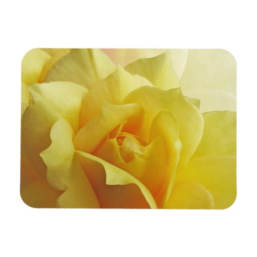 Magnet Flexible Aimant rose jaune (Horizontal)