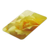Magnet Flexible Aimant rose jaune (Côté Gauche)