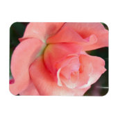 Magnet Flexible Aimant rose rose Premium (Horizontal)
