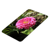 Magnet Flexible Aimant rose Zinnia Premium (Côté Gauche)
