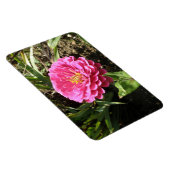 Magnet Flexible Aimant rose Zinnia Premium (Côté Droit)