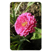 Magnet Flexible Aimant rose Zinnia Premium (Vertical)