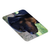 Magnet Flexible Aimant rotatif (Côté Droit)