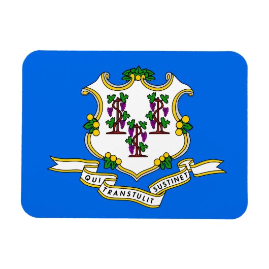 Magnet Flexible Aimant souple patriotique avec drapeau Connecticut (Horizontal)