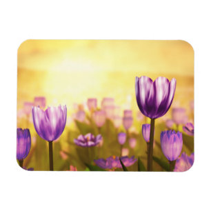 Magnet Flexible Aimant souple pour Jubilé Violet