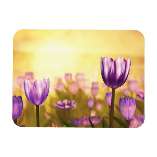 Magnet Flexible Aimant souple pour Jubilé Violet (Horizontal)