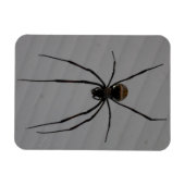 Magnet Flexible Aimant Spider 3"x4" (Horizontal)