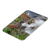 Magnet Flexible Aimant Tabby/Chat blanc 3 po x 4 po (Côté Gauche)