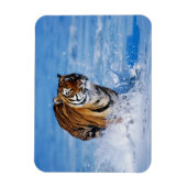 Magnet Flexible Aimant tigre (Vertical)