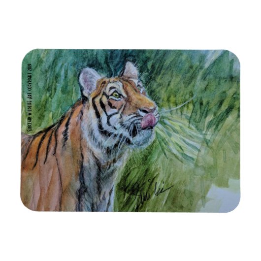 Magnet Flexible Aimant tigre en voie de disparition (Horizontal)