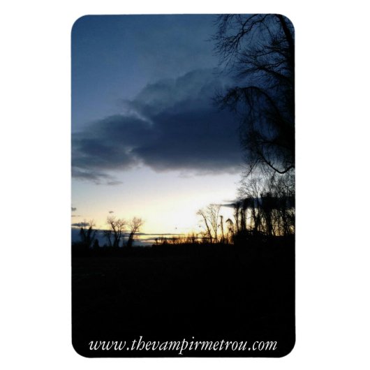 Magnet Flexible Aimant Twilight *Personnalisable* (Vertical)