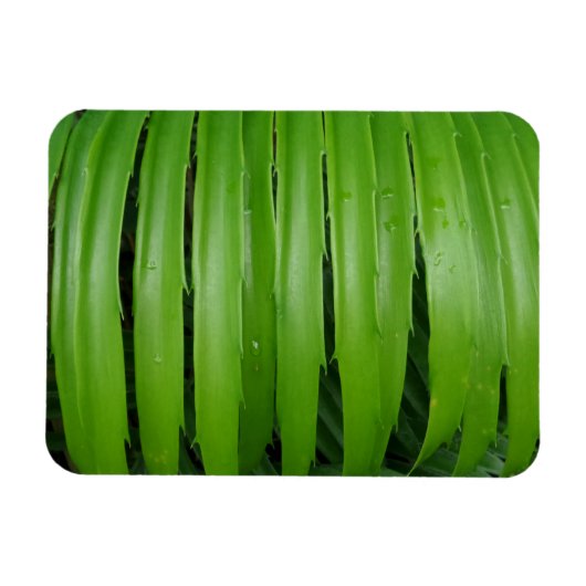Magnet Flexible Aimant vert Leafs 3"x4" (Horizontal)