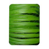Magnet Flexible Aimant vert Leafs 3"x4" (Vertical)