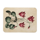 Magnet Flexible Aimant vintage à cyclamen floral (Horizontal)