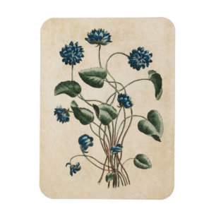 Magnet Flexible Aimant vintage à violettes florales