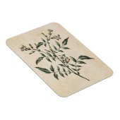 Magnet Flexible Aimant vintage de jasmin végétal (Côté Droit)
