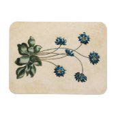 Magnet Flexible Aimant vintage d'Hypatica (Horizontal)