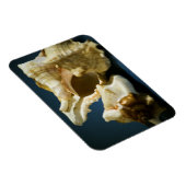 Magnet Flexible Aimant vinyle 335 Conch (Côté Droit)