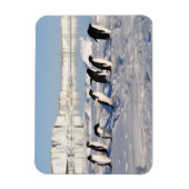 Magnet Flexible Aimants Manchots (Vertical)