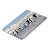 Magnet Flexible Aimants Manchots (Côté Gauche)