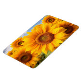 Magnet Flexible Aimants Tournesols (Côté Gauche)