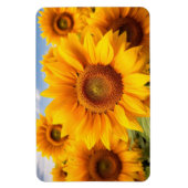 Magnet Flexible Aimants Tournesols (Vertical)