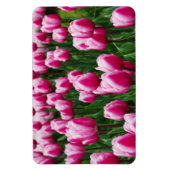 Magnet Flexible Aimants Tulipes Roses (Vertical)