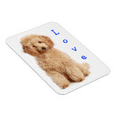 Magnet Flexible Aimer Apricot Poodle jouet Chien Chien Chien Chien (Côté Droit)