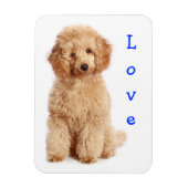 Magnet Flexible Aimer Apricot Poodle jouet Chien Chien Chien Chien (Vertical)