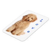 Magnet Flexible Aimer Apricot Poodle jouet Chien Chien Chien Chien (Côté Gauche)