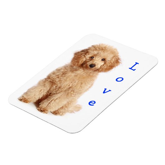 Magnet Flexible Aimer Apricot Poodle jouet Chien Chien Chien Chien (Côté Gauche)