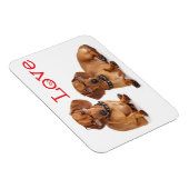 Magnet Flexible Aimer Dachshund Chien Chien Chien Chien Chien Aima (Côté Droit)