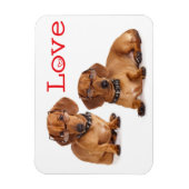 Magnet Flexible Aimer Dachshund Chien Chien Chien Chien Chien Aima (Vertical)