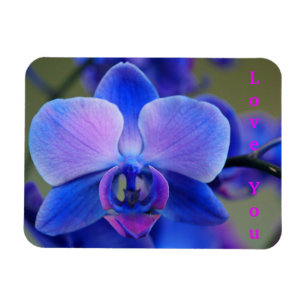Magnet Flexible Aimez-vous Bleu et Aimant Orchidée rose