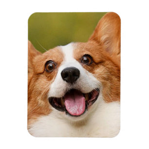 Magnet Flexible Ajouter photo de chien personnalisé Customisé