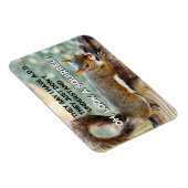 Magnet Flexible AJOUTER photo d'écureuil (Côté Droit)