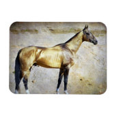 Magnet Flexible Akhal-teke (Horizontal)
