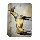 Magnet Flexible Akhal-teke (Vertical)