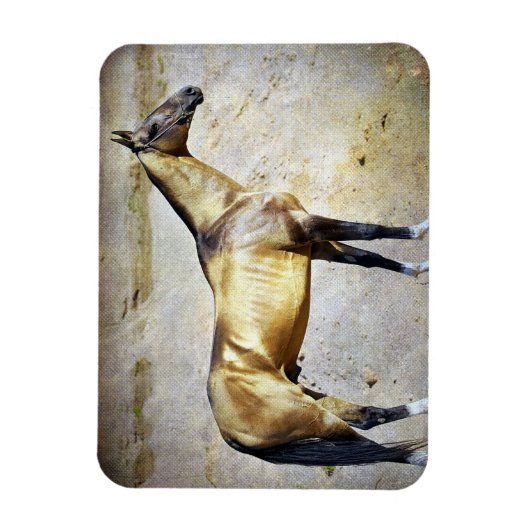 Magnet Flexible Akhal-teke (Vertical)