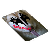 Magnet Flexible Akira Kiss Gene Qui ? (Côté Droit)